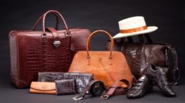 Set of crocodile leather products