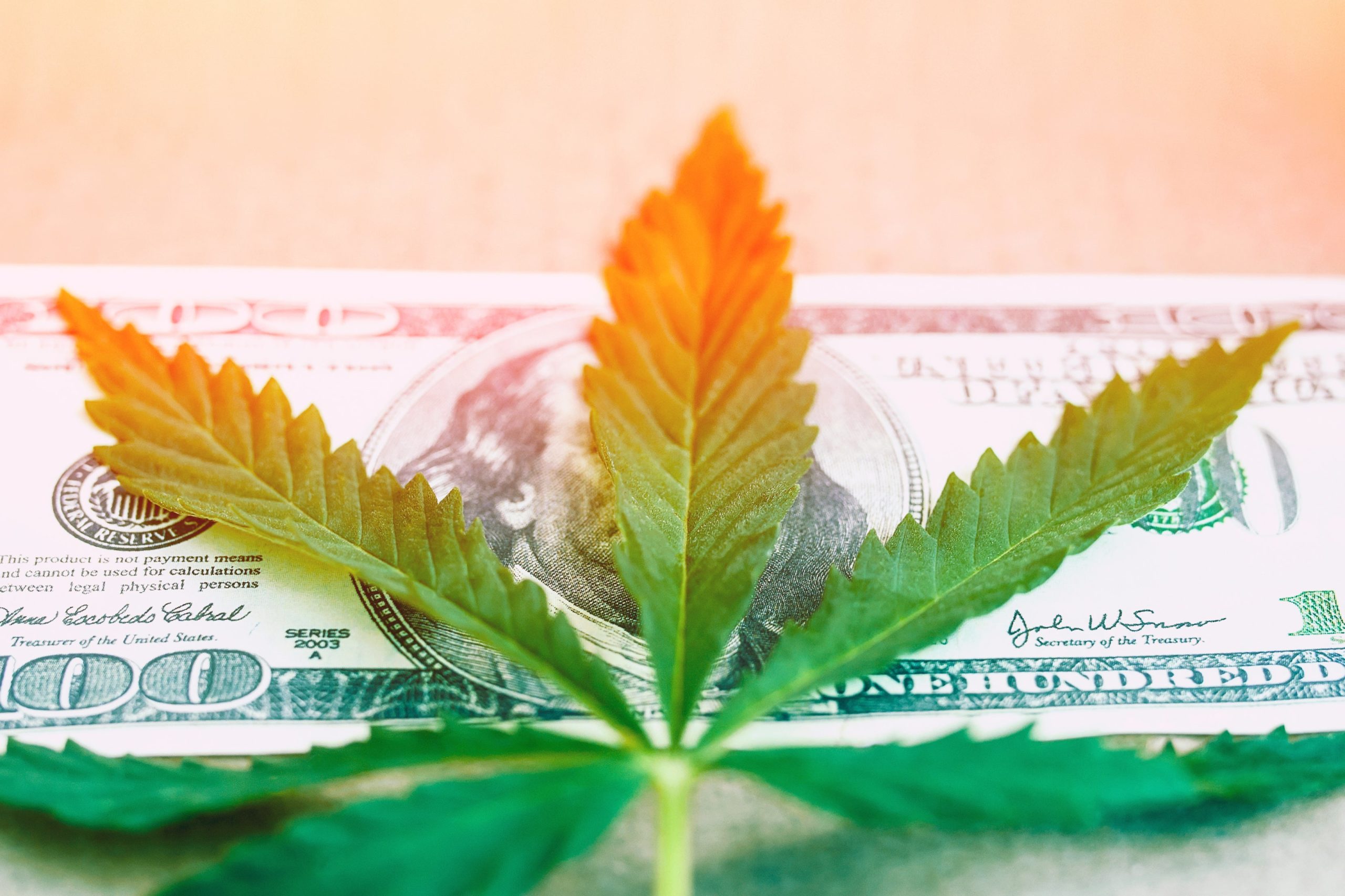 Osta Kannabis Osakkeet 2021 [Luettelo Hyvistä Osakkeista]